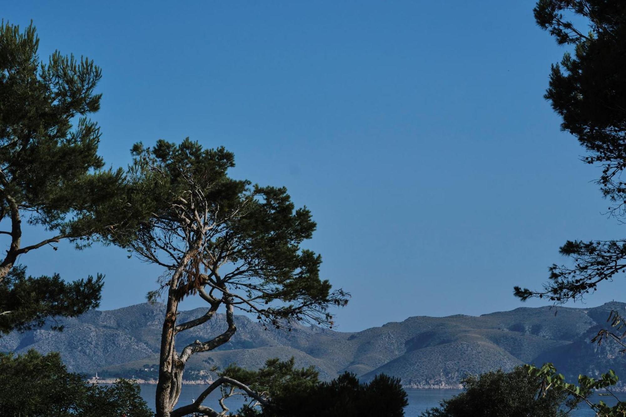 Prinsotel Mal Pas - Adults Only Alcudia (Mallorca)